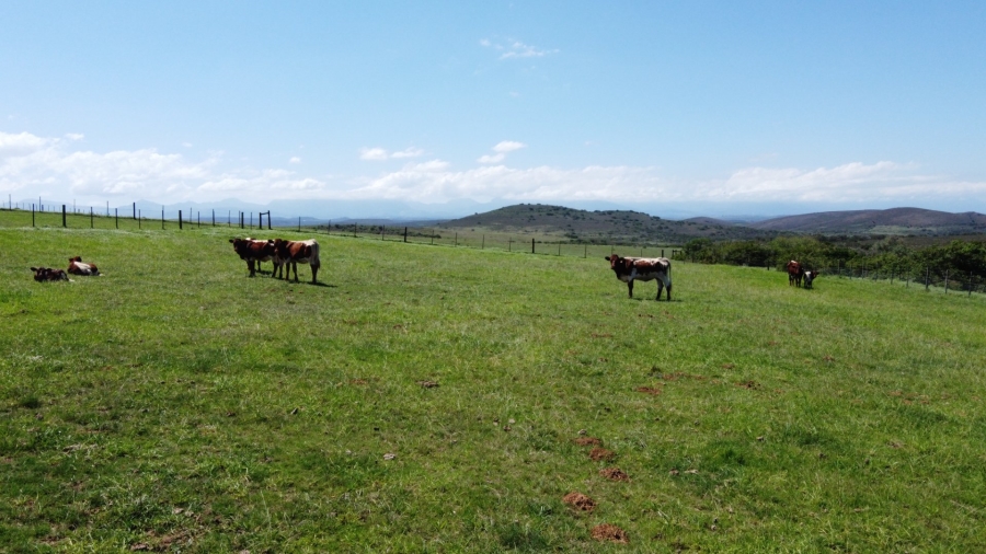 Commercial Property for Sale in Mossel Bay Rural Western Cape
